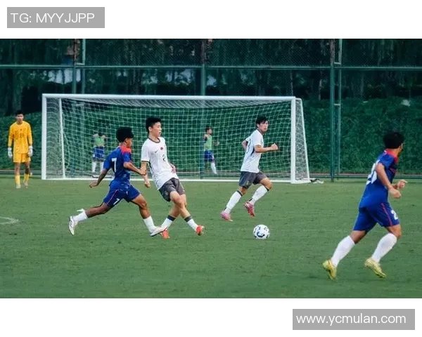 聚焦VfB斯图加特足球球星成长历程与赛场荣耀时刻