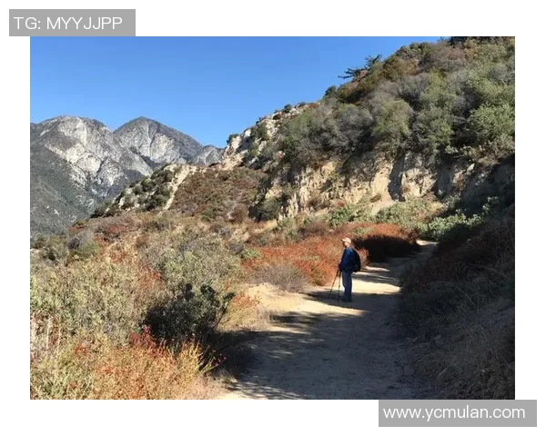 足球明星假扮老人挑战极限 颠覆传统角色探索人生真谛